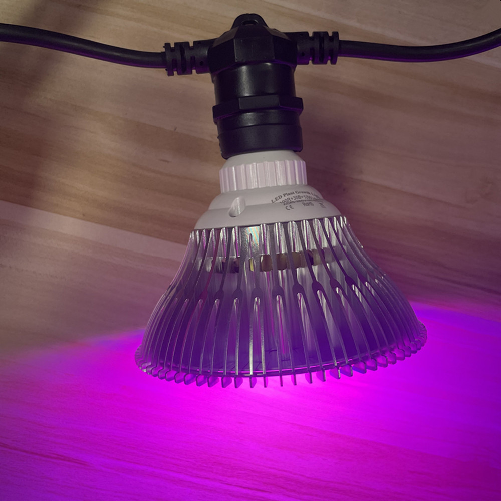 Kabel LED 10M Kelas Komersial  - Waterproof Led Strip ulasan dan harga